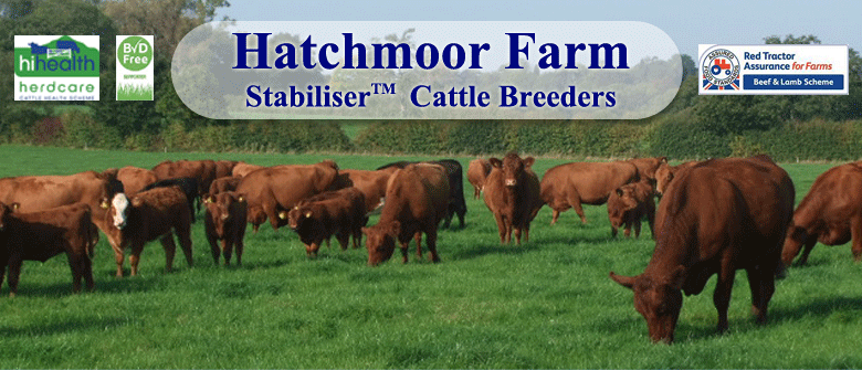 Hatchmoor Farm
